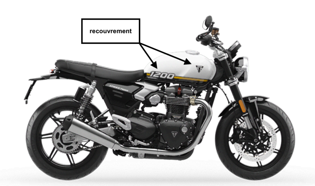 TRIUMPH : SPEED TWIN 1200 (2025+)
