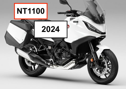 NT1100 (2024 +)