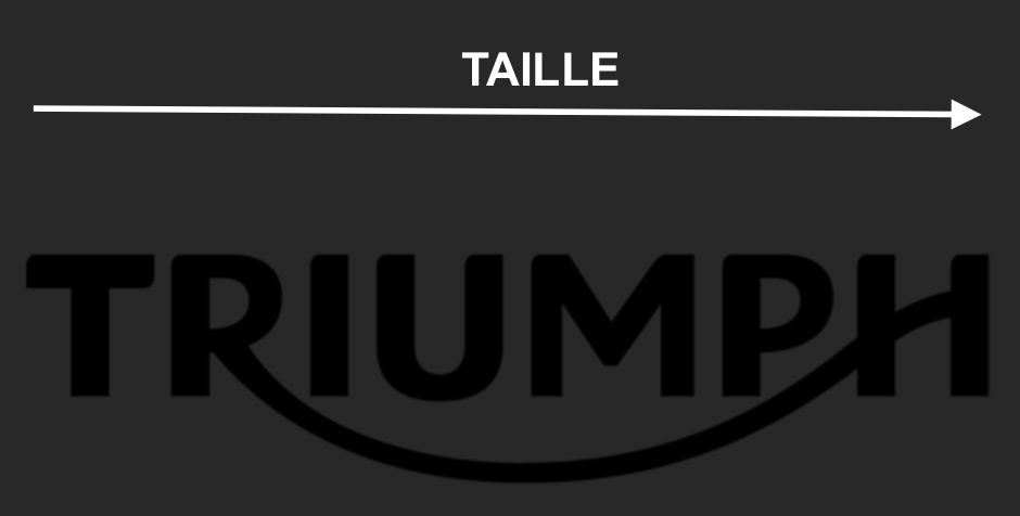 TRIUMPH "TRIUMPH"