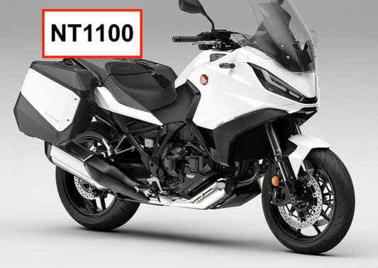 NT1100 (2022 +)