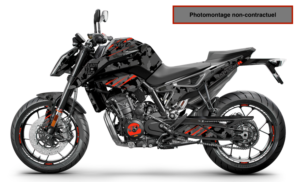 DUKE 790 (2018 +) - DUKE 890 / 890R