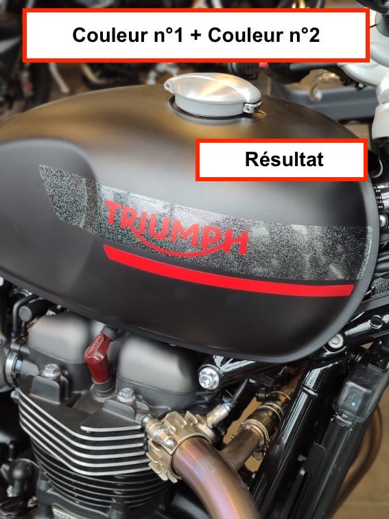 TRIUMPH : SPEED TWIN 1200 (2021 +)
