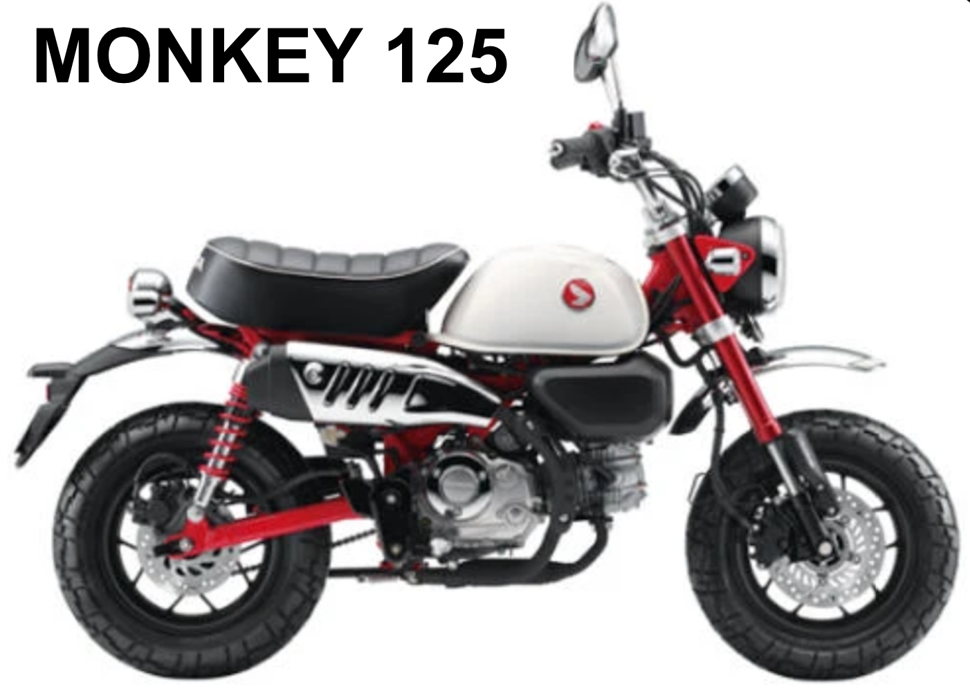 MONKEY 125 (2021 à 2025+)