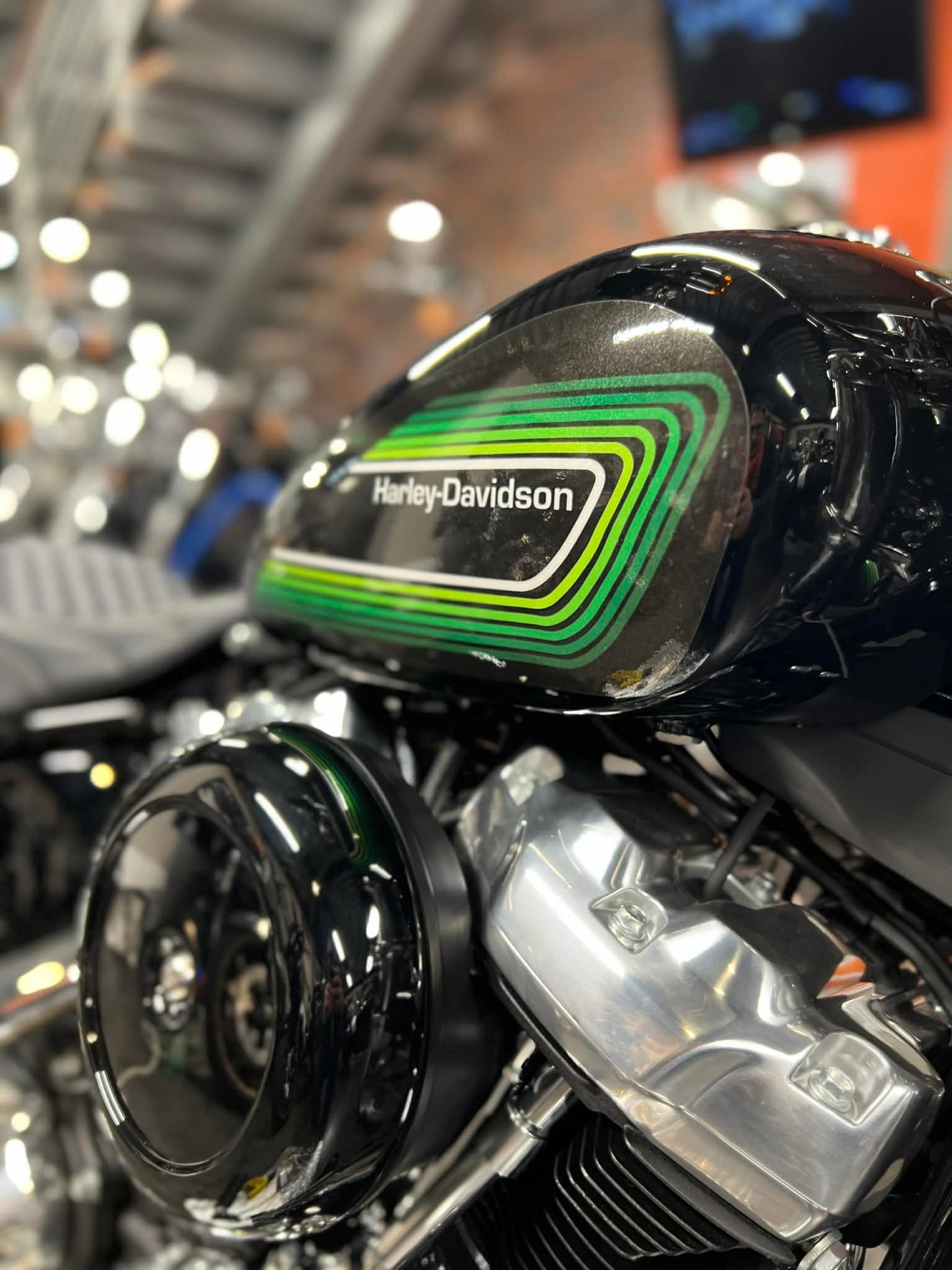 SOFTAIL STANDARD 2022+ ou STREET BOB