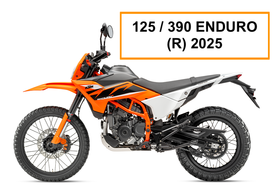 125 / 390 ENDURO R (2025)