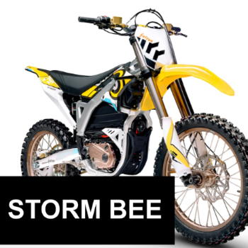 SUR-RON  Storm Bee