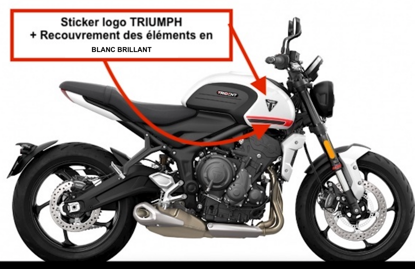 TRIUMPH TRIDENT 660 (2021+) : LOGO Réservoir