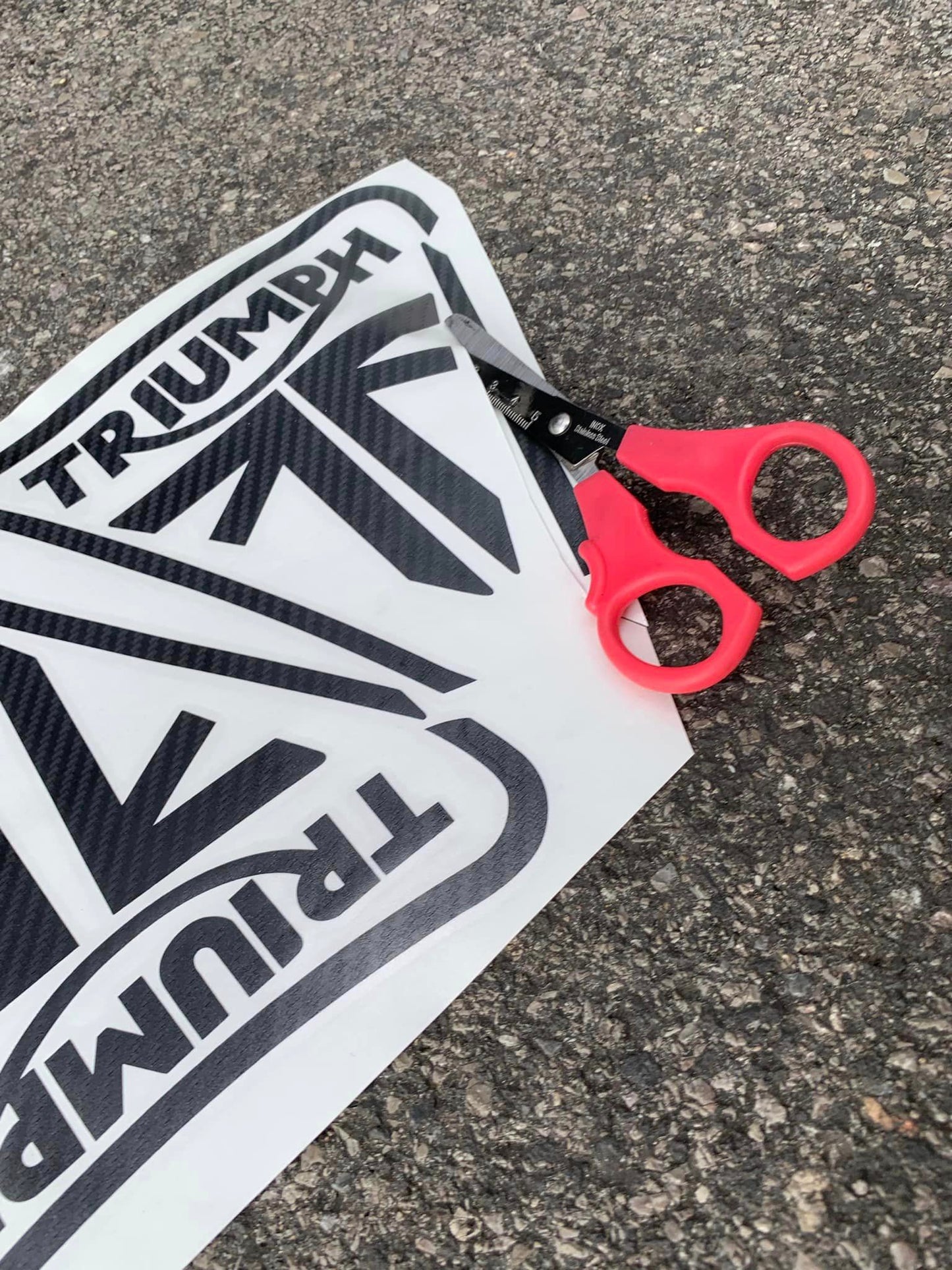 TRIUMPH SPEED 400 (2024+) : LOGO