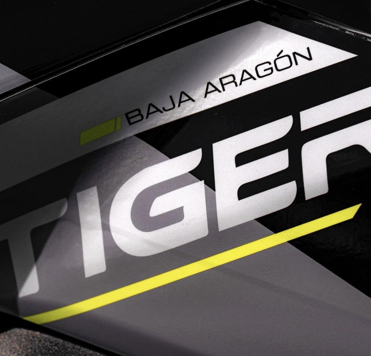 TRIUMPH TIGER 1200 (2022 + )