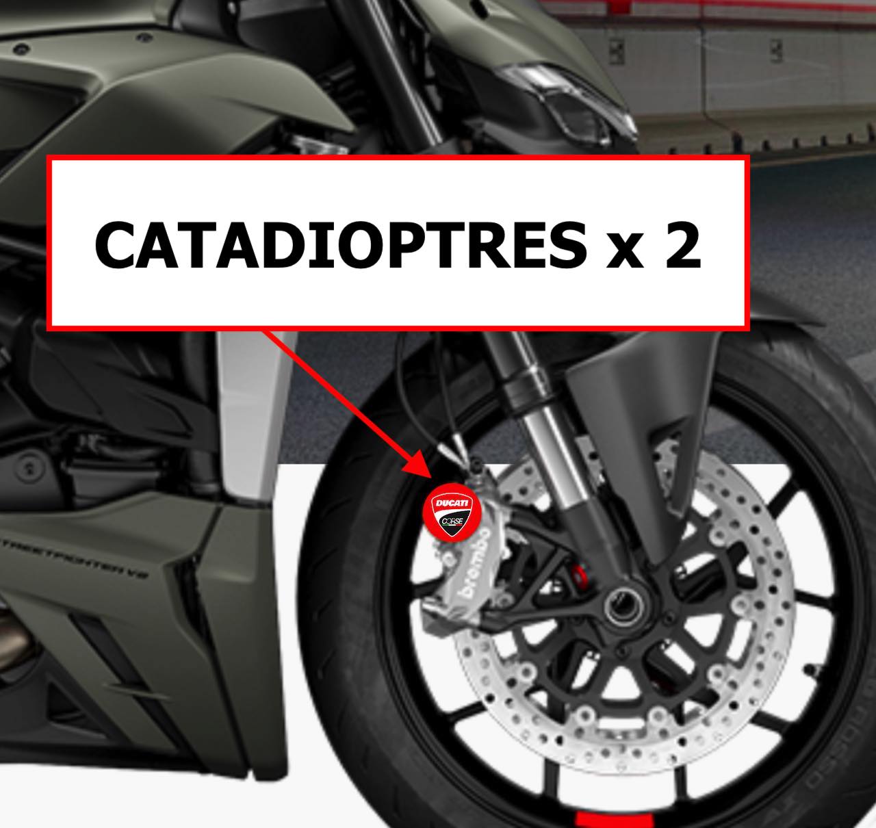 Stickers (x2) pour Catadioptres DUCATI