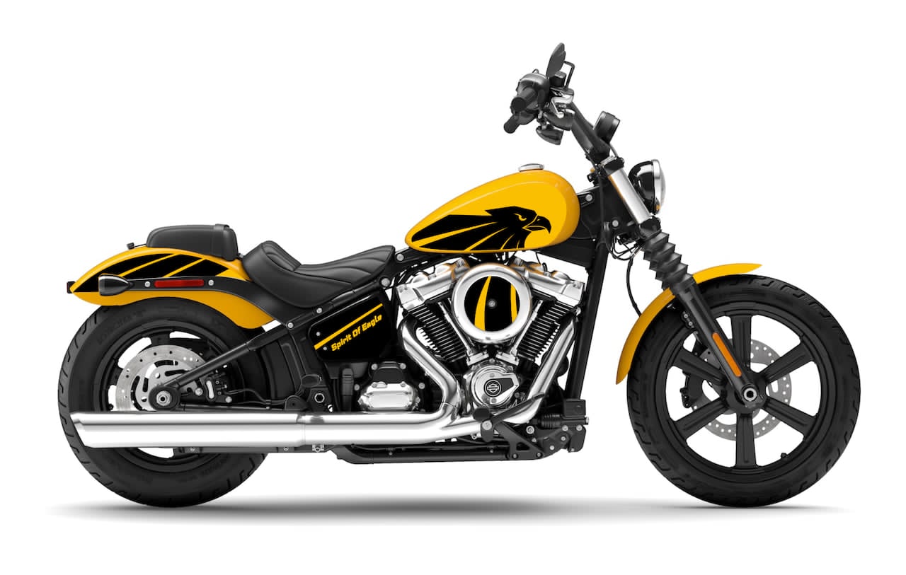SOFTAIL STANDARD 2022+ ou STREET BOB