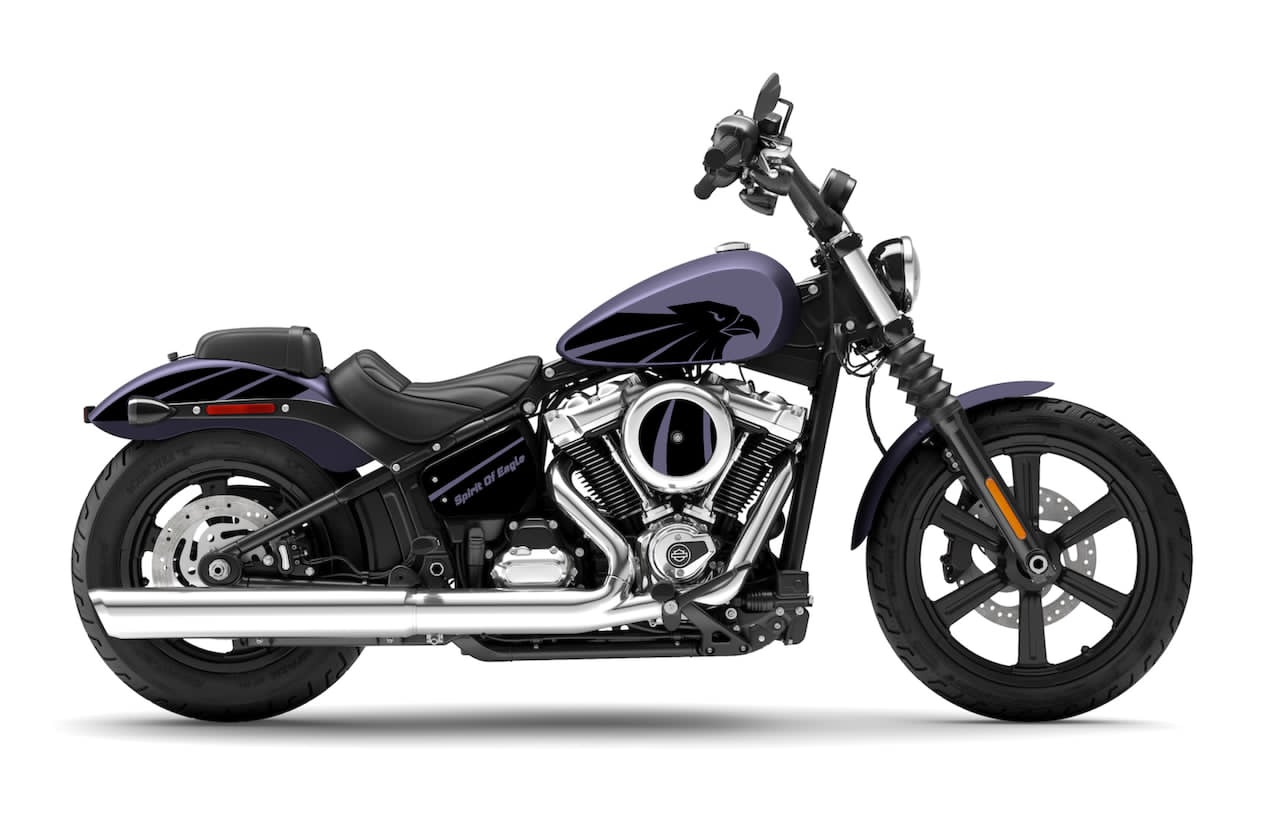 SOFTAIL STANDARD 2022+ ou STREET BOB