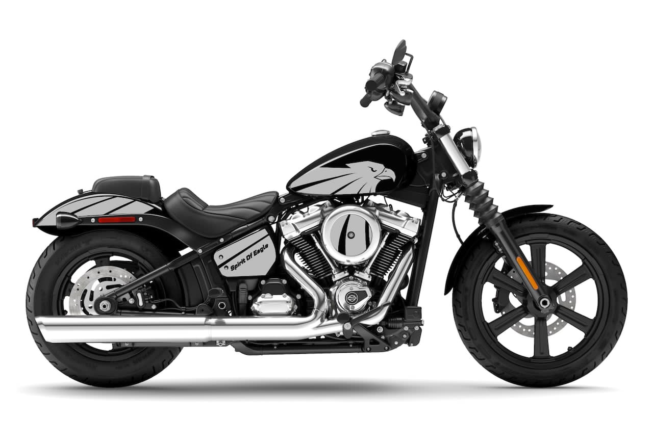 SOFTAIL STANDARD 2022+ ou STREET BOB