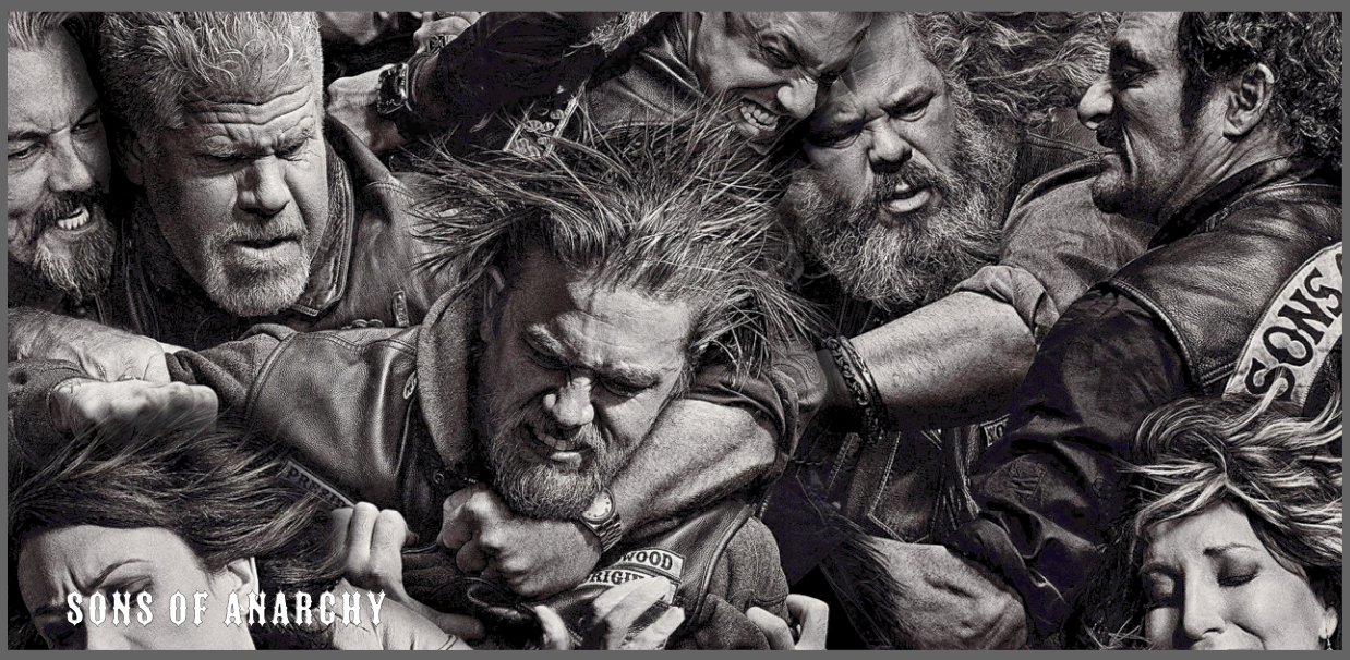 ETUIS  motards pour CARTES GRISES et Assurance