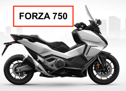 FORZA 750 (2023 à 2024))