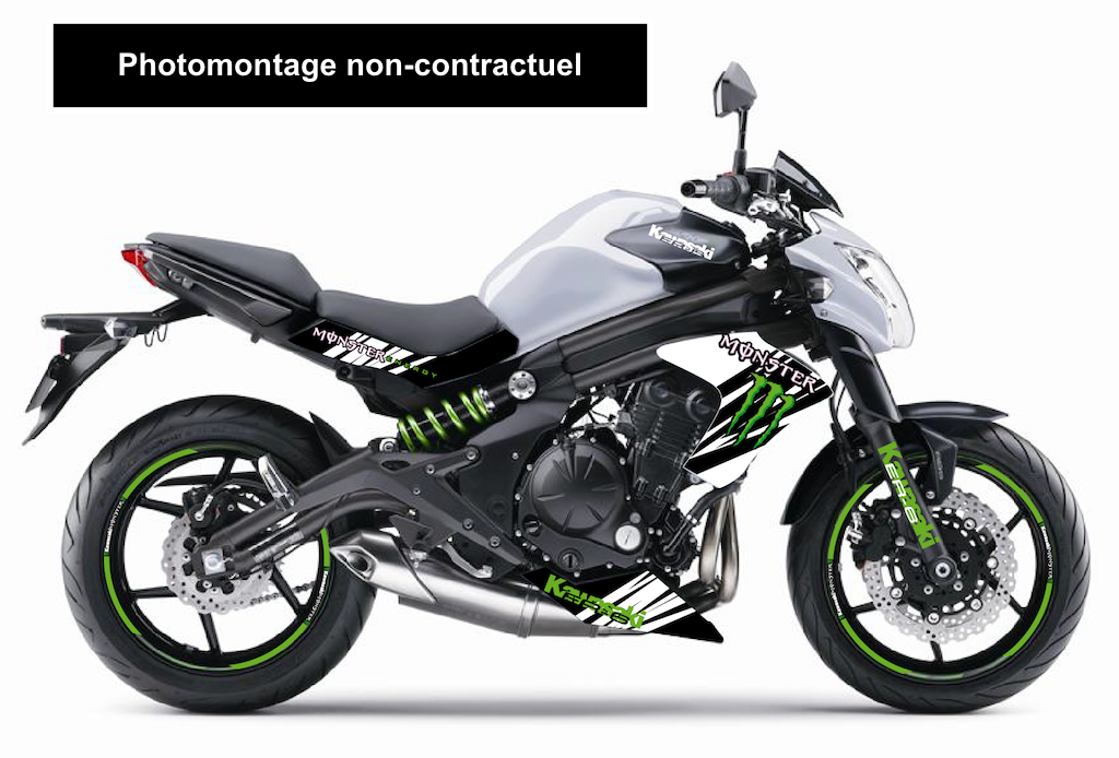 KAWASAKI ER6n (2012 +)