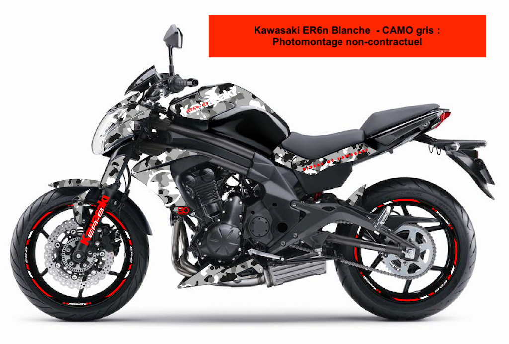KAWASAKI ER6n (2012 +)