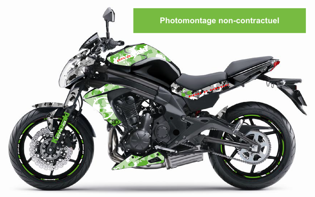 KAWASAKI ER6n (2012 +)