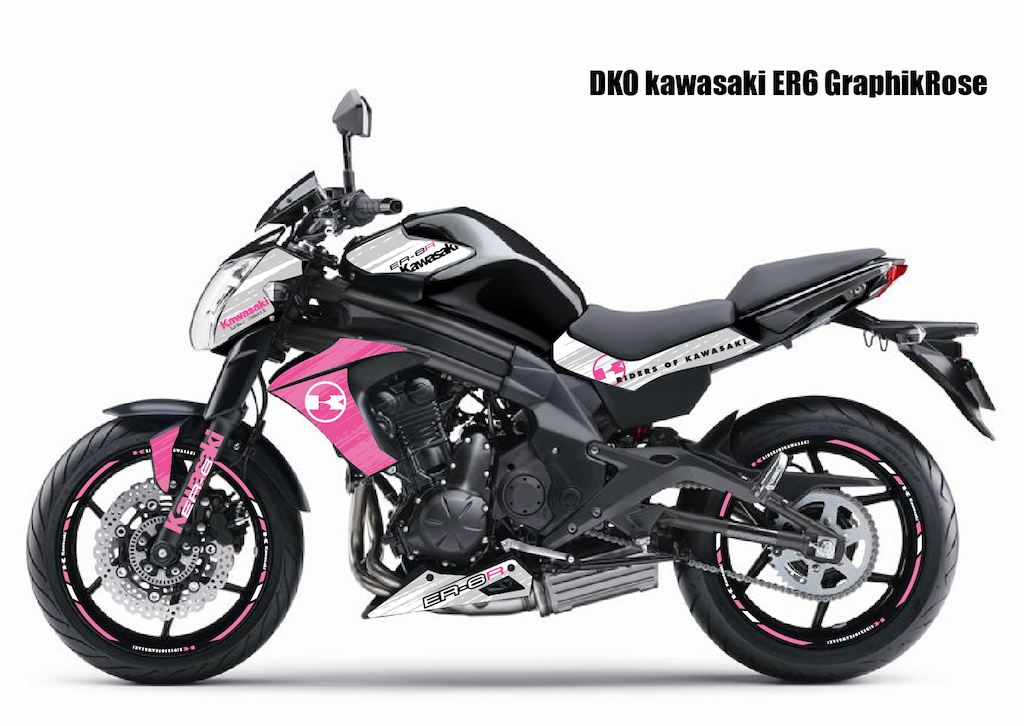 KAWASAKI ER6n (2012 +)