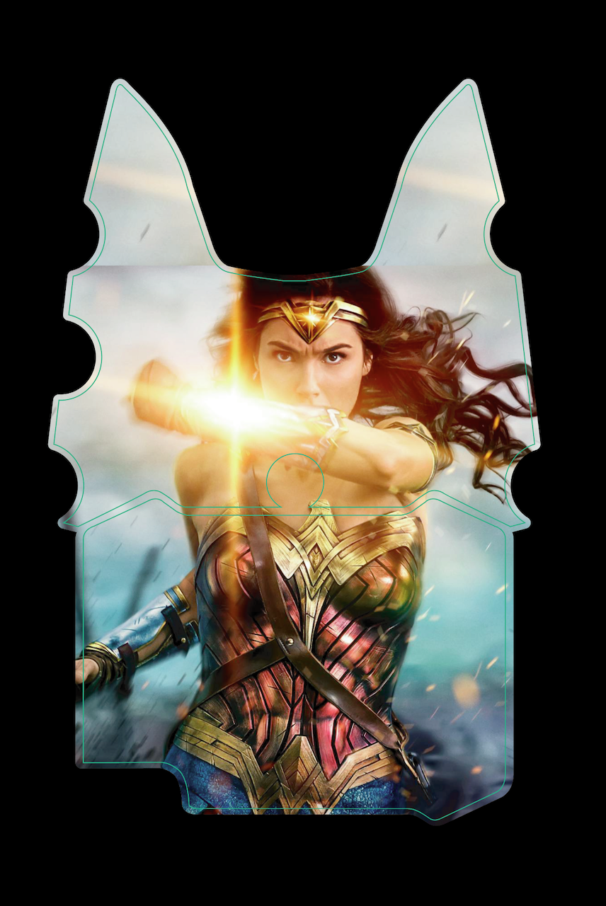 PASSAGE DE ROUE Z1000 (2015 +)