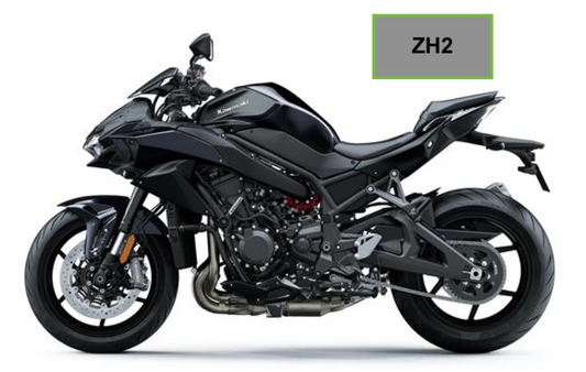 ZH2 (2020 +)