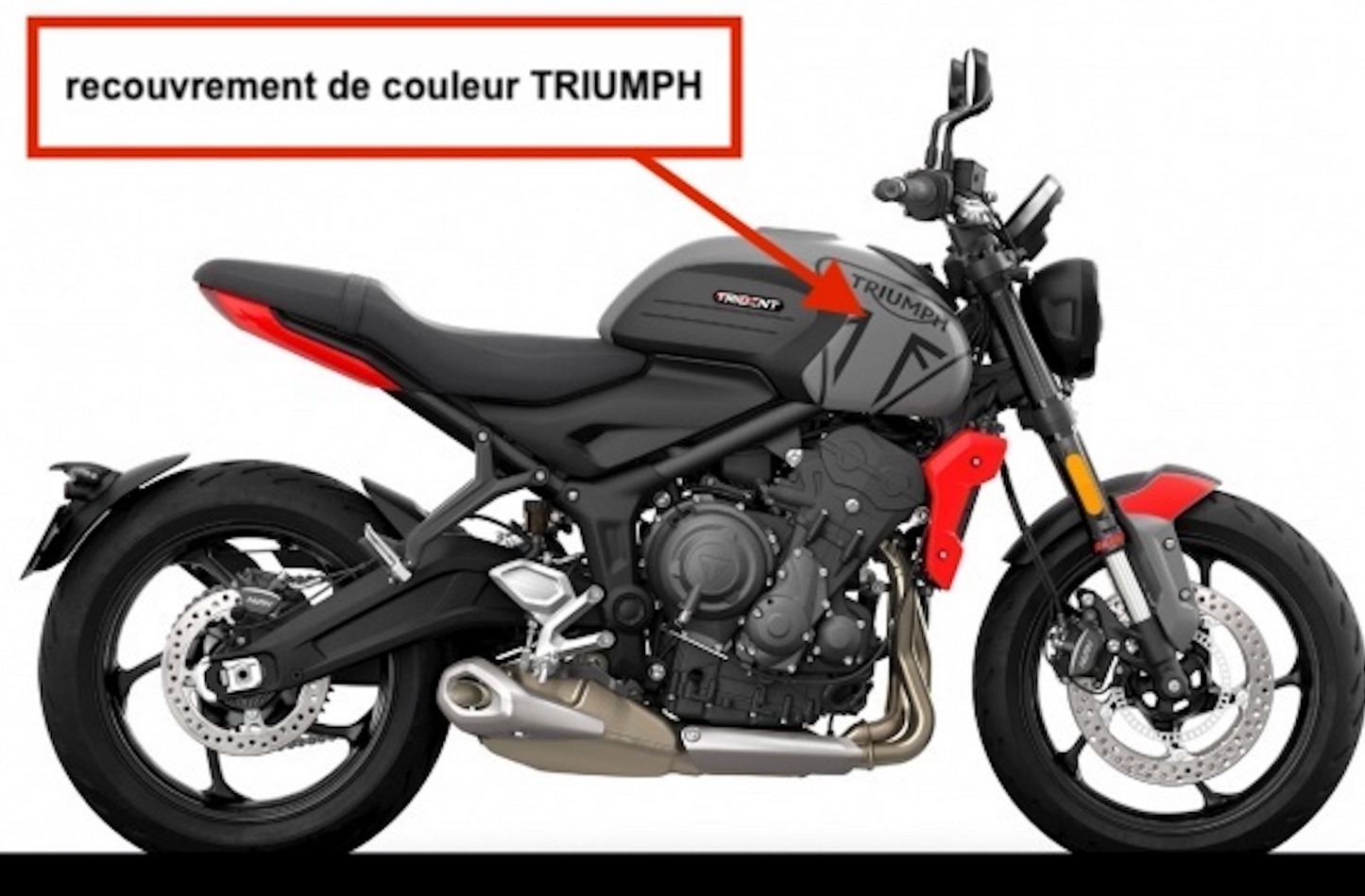 TRIUMPH TRIDENT 660 (2021+) : LOGO Réservoir