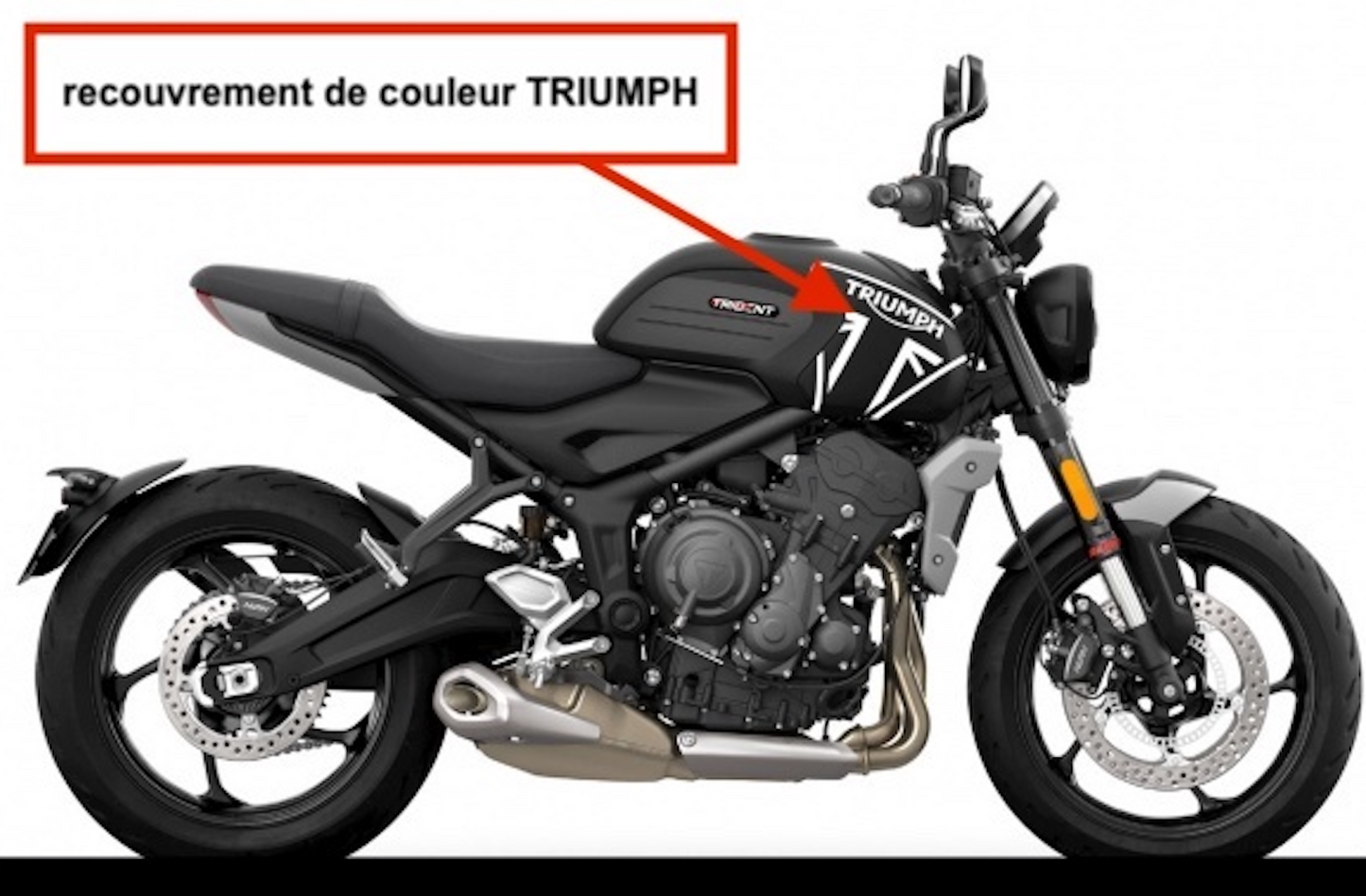 TRIUMPH TRIDENT 660 (2021+) : LOGO Réservoir
