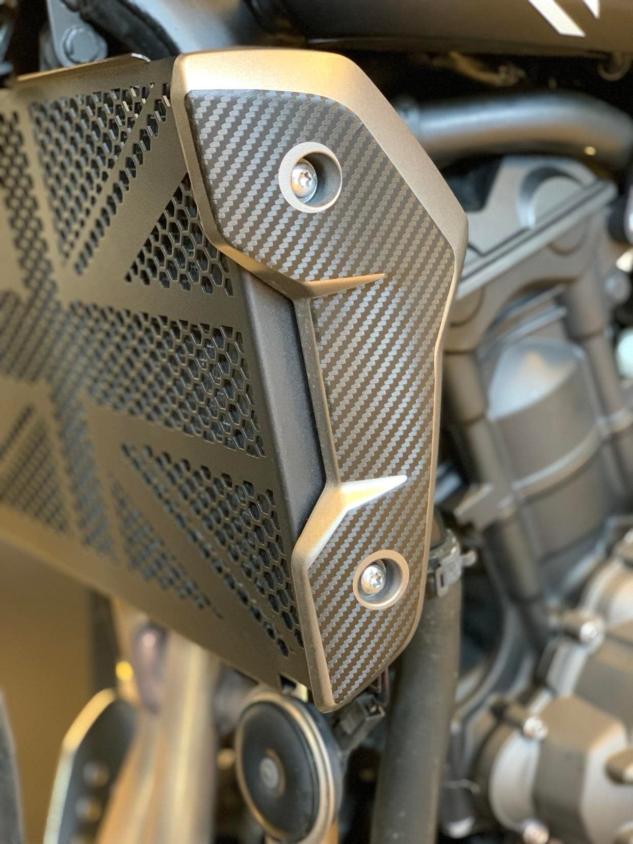 TRIUMPH TRIDENT 2021+ (accessoires)