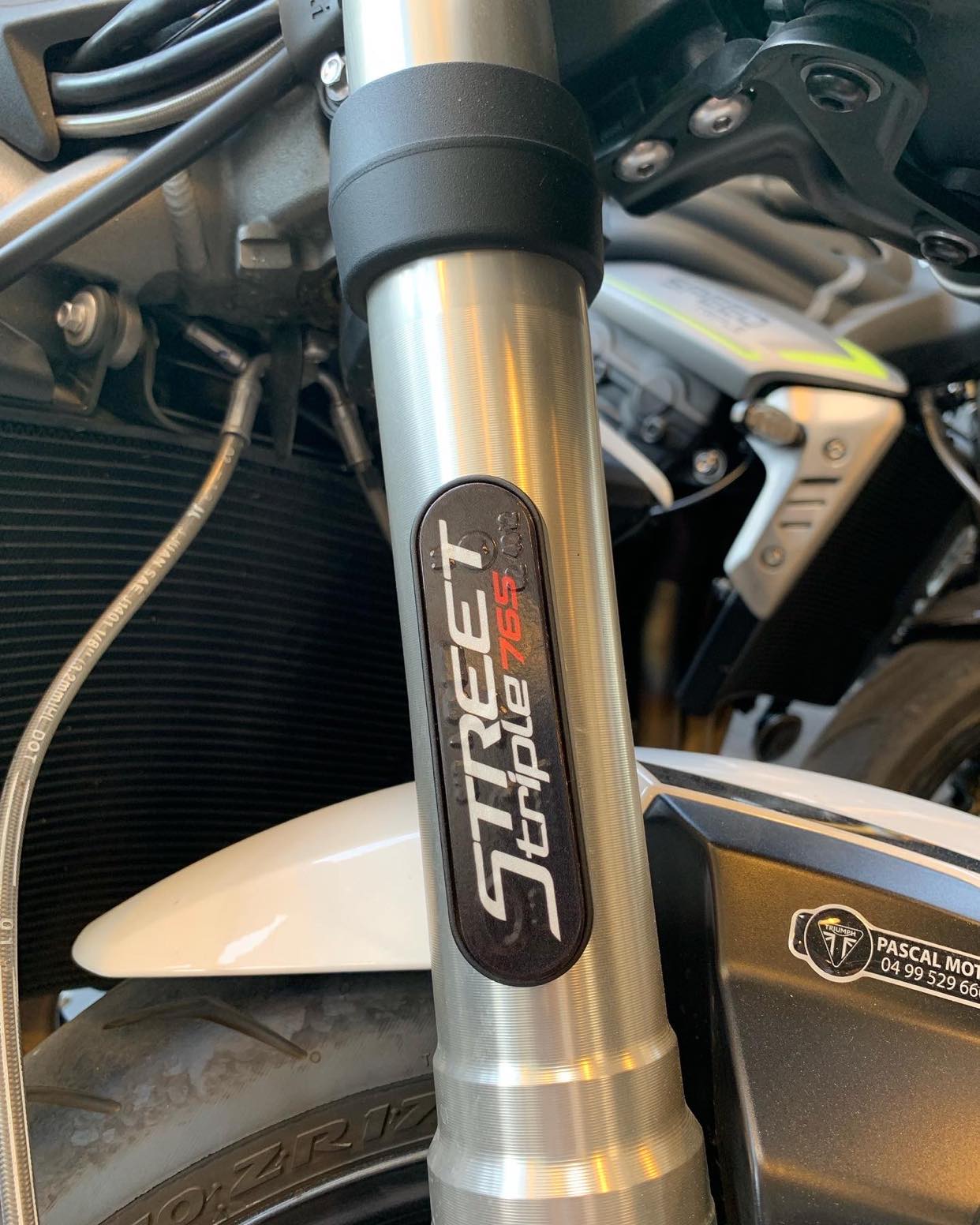 Stickers (x2) pour Catadioptres TRIUMPH