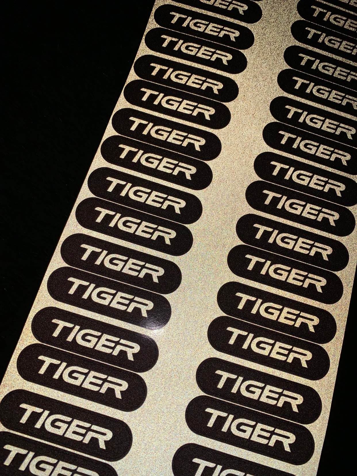 Stickers (x2) pour Catadioptres TRIUMPH