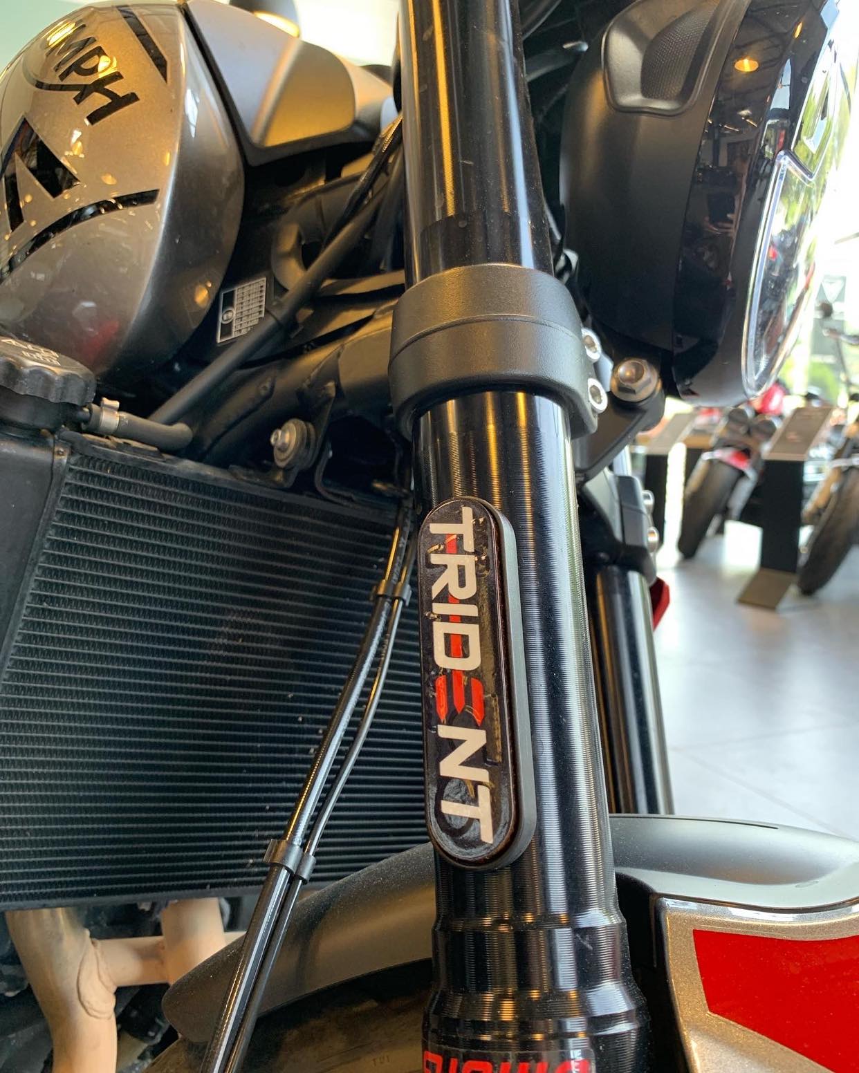 Stickers (x2) pour Catadioptres TRIUMPH