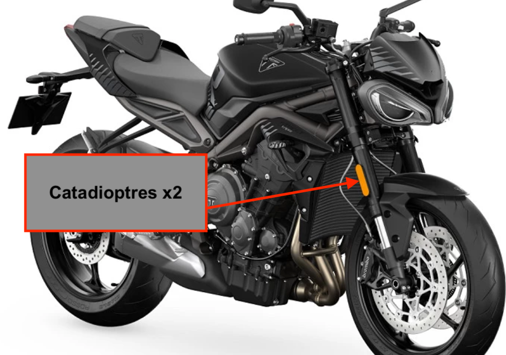 Stickers (x2) pour Catadioptres TRIUMPH