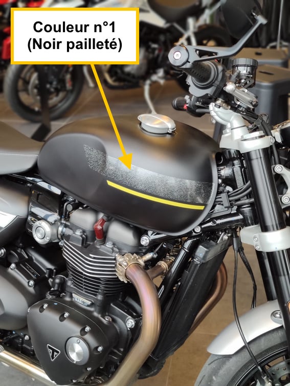 TRIUMPH : SPEED TWIN 1200 (2021 +)