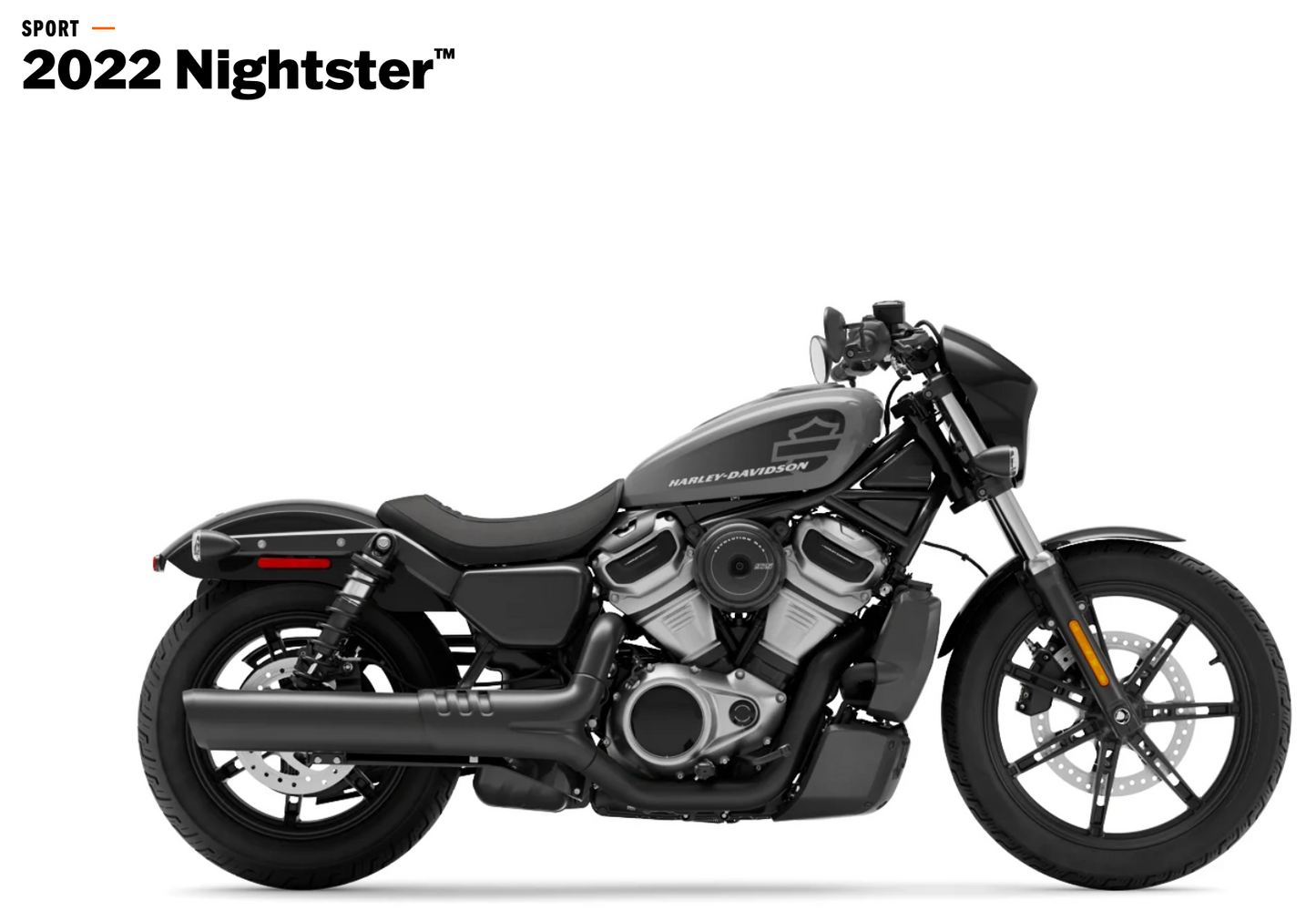 NIGHTSTER (2022 +)