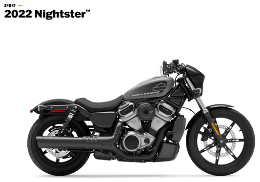 NIGHTSTER (2022 +)